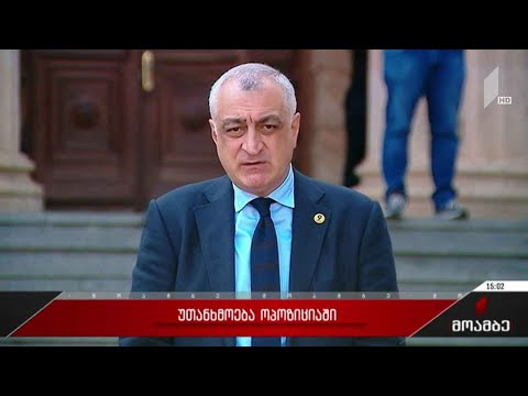 უთანხმოება ოპოზიციაში