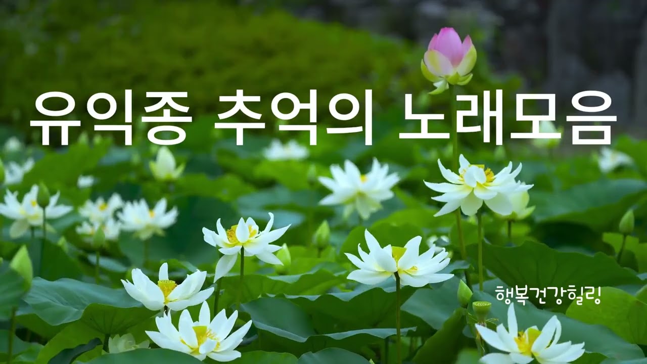 유익종의 잔잔한 추억의 노래