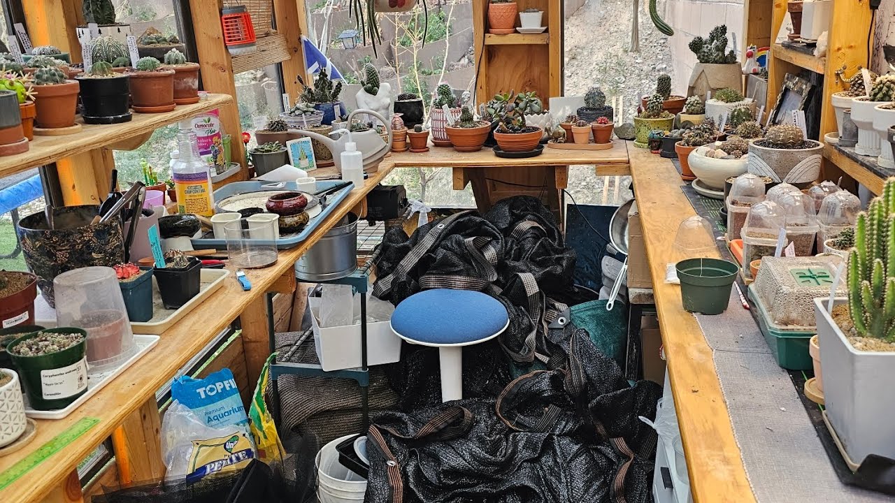 Stephs Cactarium Tour February 2026