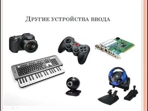 Устройства ввода информации|Информатика
