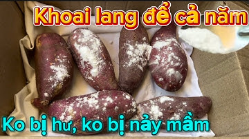 KHOAI LANG ĐỂ CẢ NĂM KHÔNG BỊ HƯ, KHÔNG bị NẢY MẦM# CÁCH LUỘC KHOAI LANG KO CẦN NƯỚC