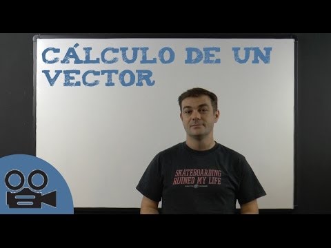 Vídeo: Com Es Calcula Un Vector