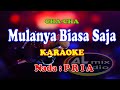 KARAOKE CHA-CHA NADA PRIA - MULANYA BIASA SAJA
