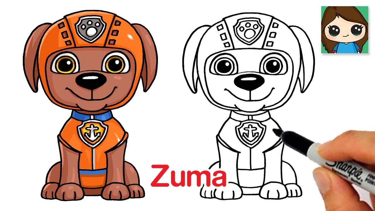 Hardheid Defecte Impasse How to Draw Zuma 🦴 Paw Patrol - YouTube