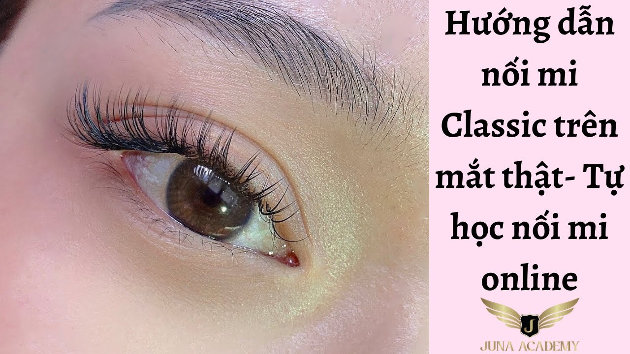 nối mi đẹp hà nội Update 2022 Hướng dẫn nối mi Classic trên mắt thật - Tự học nối mi online