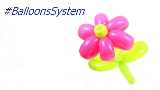 Balloon flower / Как сделать цветок из шариков своими руками Balloon flower / Как сделать цветок из шариков своими руками