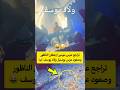 تراجع عرس موسى ازغنغان الناظور وصعود عرس بومنيار ولاد يوسف 