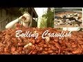 How to Boil and Eat Louisiana Crawfish