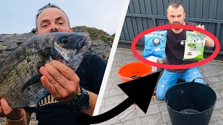 PESCANDO SARGOS con ENGODOS COMERCIALES
