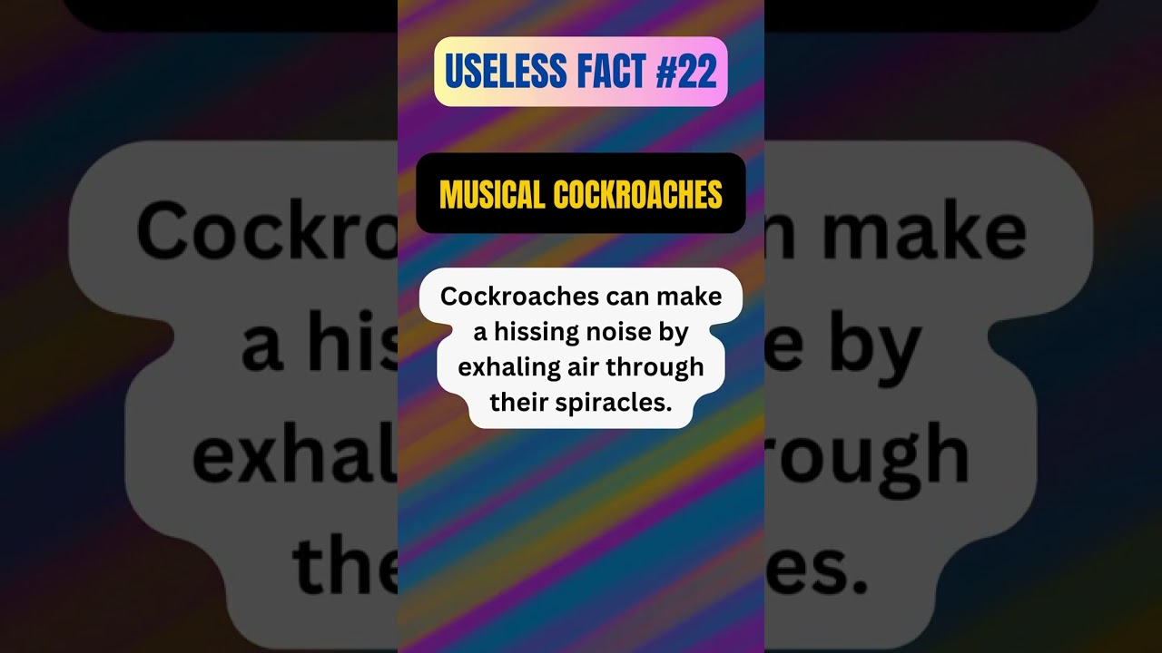 Useless Fact #22 | Musical Cockroaches | 