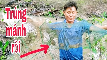 ĐI DỠ LÚ (12 CỬA NGỤC) KHÔNG NGỜ ĐƯỜNG NƯỚC NÀY CÁ NHIỀU GHÊ | Phúc TV 84