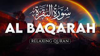 InsyaAllah Menenangkan Hati, Murotal Surah Al-Baqarah Paling Indah  - AHMAD AL SHALABI