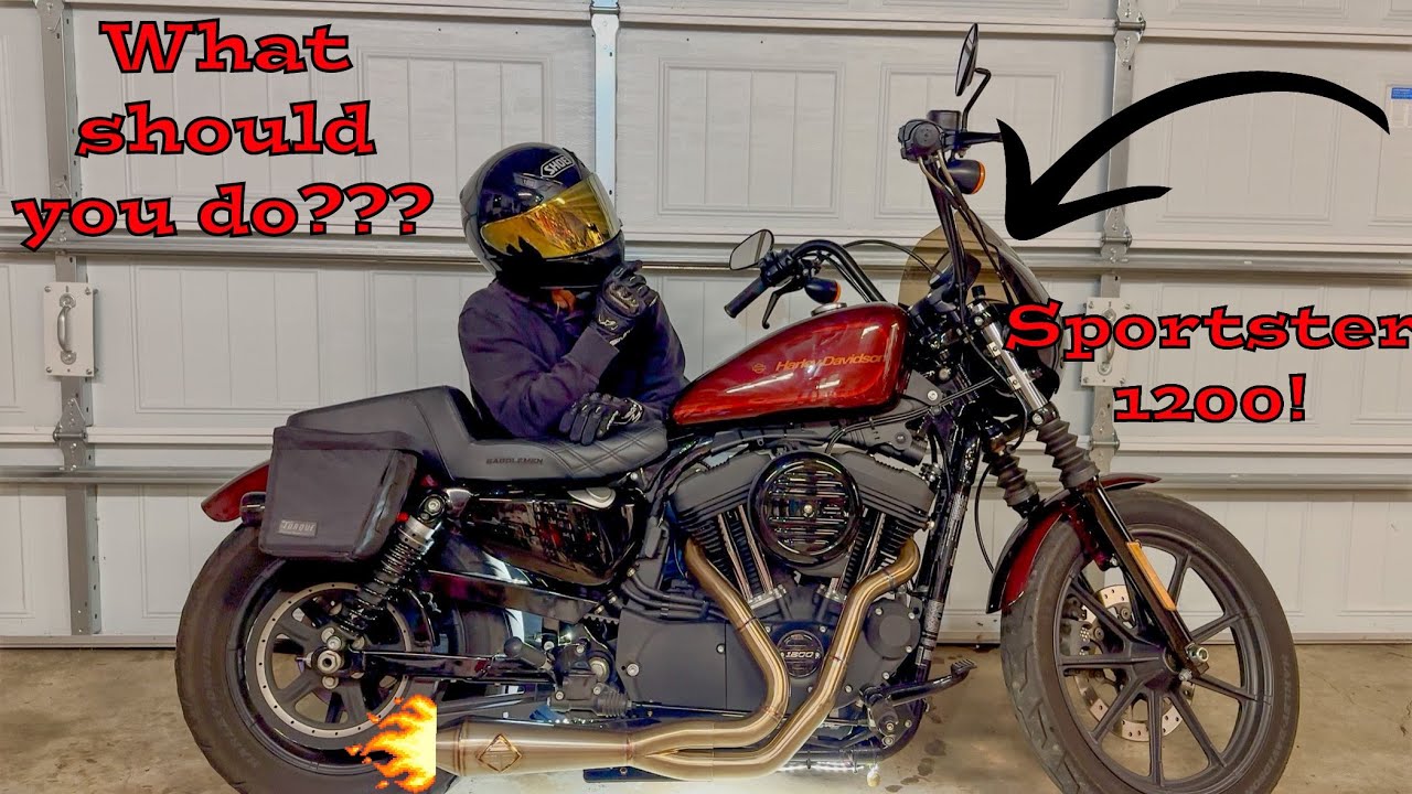 TOP 5 MOD FOR YOUR SPORTSTER!