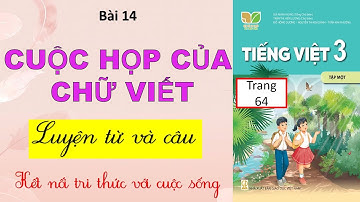 Bài 14: CUỘC HỌP CỦA CHỮ VIẾT (Luyện từ và câu) - Kết nối tri thức - TV 3