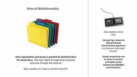 Introduction to Bioinformatics