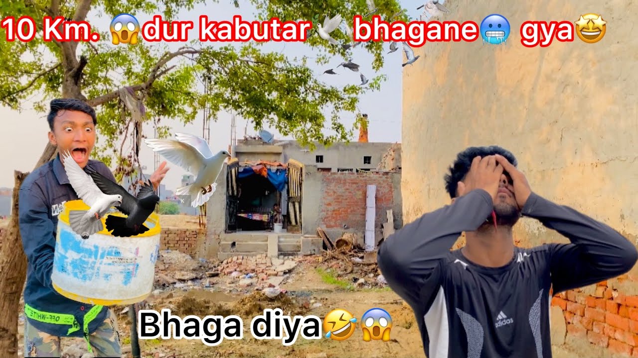 10 KM 😱kabutar 🕊️chhod kar aye🤩✈️!! Kabutar 🕊️ bhaga diya🤣🤣