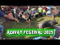  2025      2025