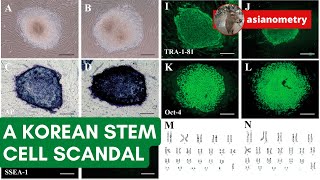 The Fall of a Korean Stem Cell Hero