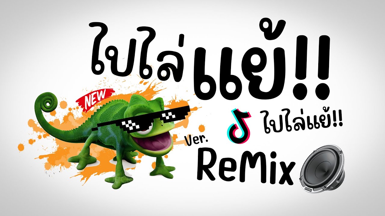 #มาแรงในTikTok!! ( ไปไล่แย้ – จ่าส่ง ร็อคออนซอน🔥🦎) Ver.Remix BY [ ดีเจกิต รีมิกซ์ ]