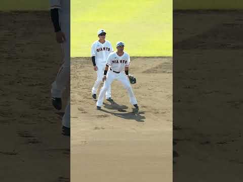 【巨人】流れるような吉川尚輝選手の守備練習（セカンド送球） #shorts #baseball #sports #ジャイアンツ #巨人 #プロ野球