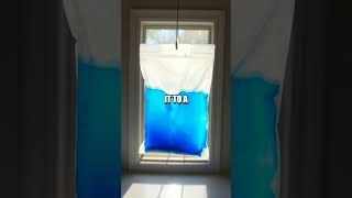 Creating a DIY Water Cycle in a Bag Experiment