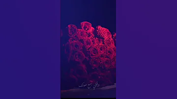 الحب بأن في عيوني ـ ميادة الحناوي بينت الحب عليا 