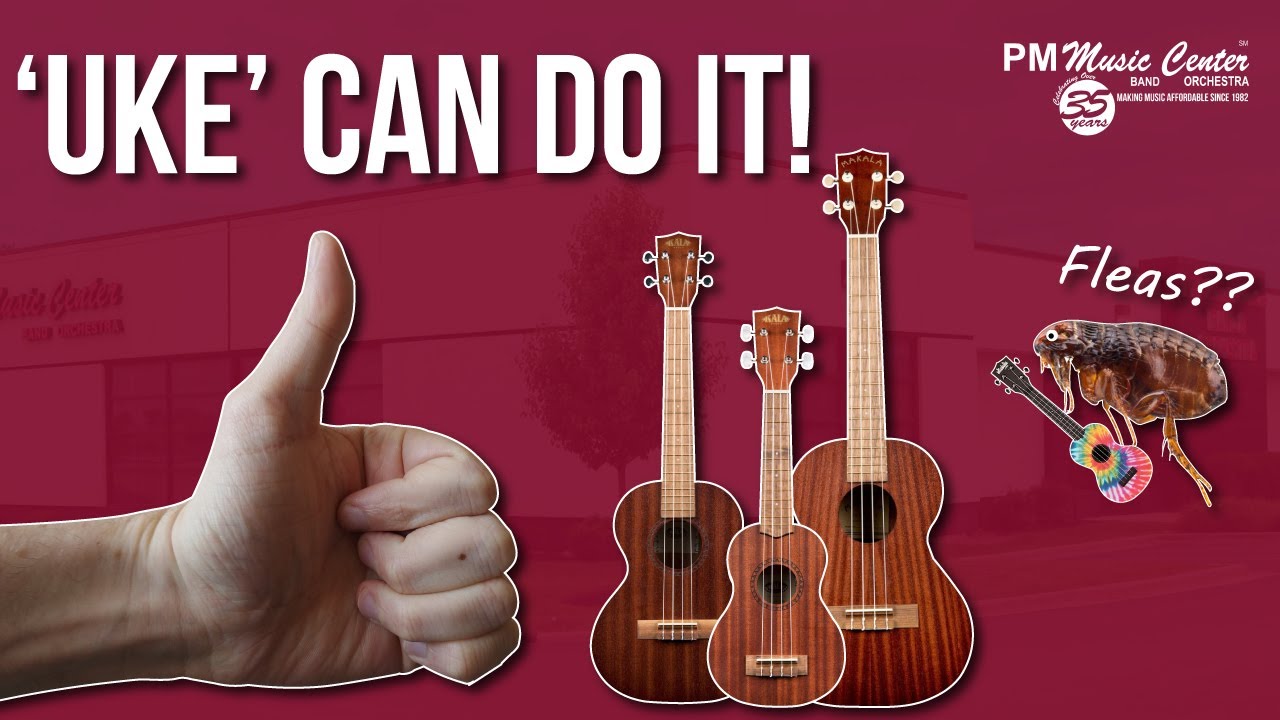 Uke Can Do It! How to Get Started With the Ukulele