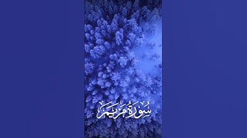 روائع التلاوات ❤️ #best_qary #المصحف #beautifulquran