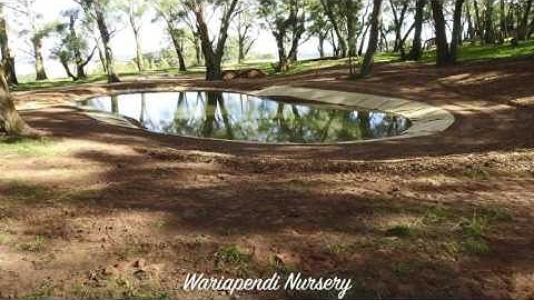 Wetland Creation - Laying Jute Mat and Mulching