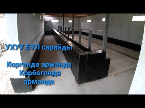 Video: Сарайдын жыгач мүчүлүштүктөрүнө кандай мамиле кыласыз?