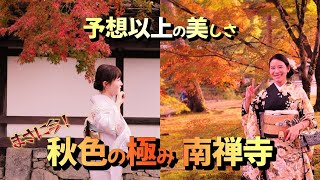 南禅寺の色づきが止まらない「天授庵、紅葉“最高潮”！」　今年は数年ぶりの当たり年　　「秋色の極み 京都南禅寺」予想以上の美しさ、紅に染まる境内　まさに今！