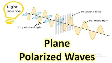 Plane-polarized or linearly polarized waves.
