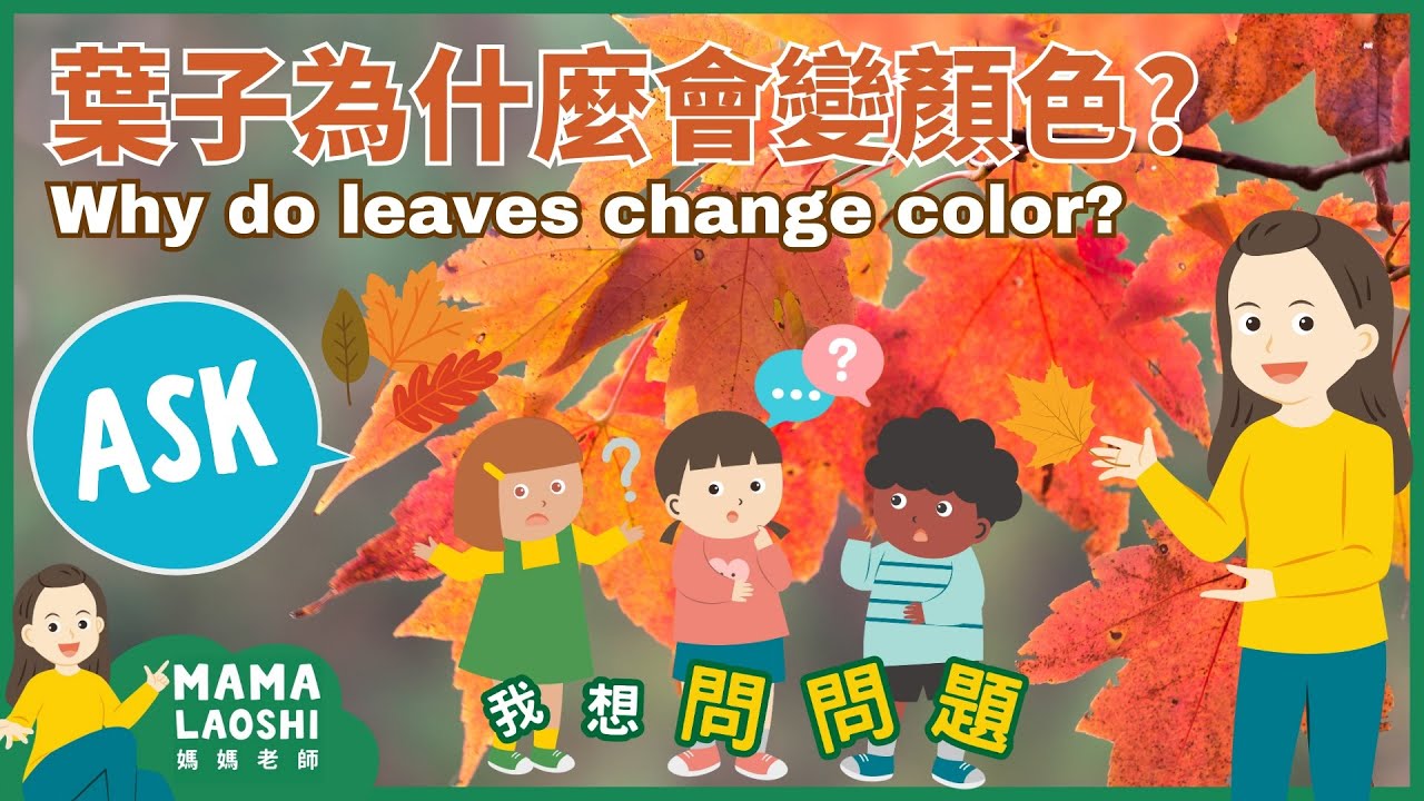 Why do Leaves Change Color for Kids in Chinese 葉子為什麼會變顏色? 🍃 🍁 🍂  | 葉綠素 色素 樹葉 落葉 秋天｜STEM Chinese 科普中文