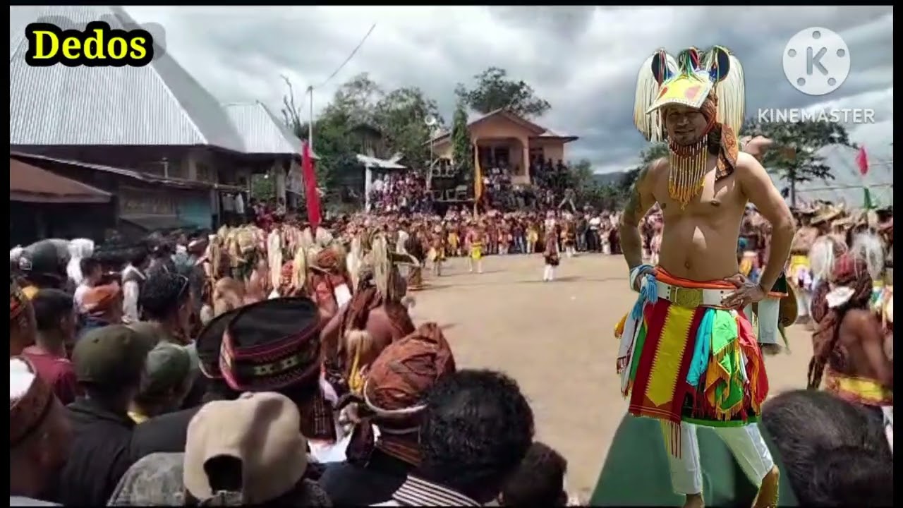 Disco Manggarai Terbaru Molass Toko Gula Anak Reba Ru'a 🛖 cpt Surat Edar 🌴 Tedos