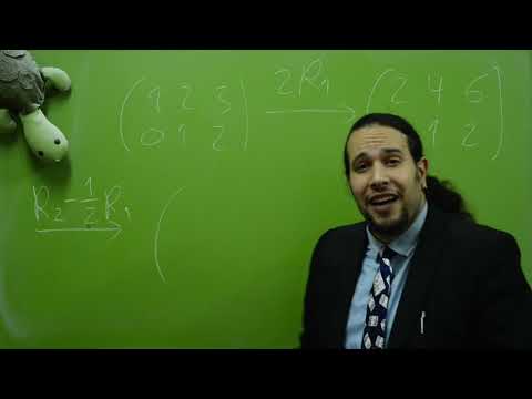 תמונה מקדימה של סרטון