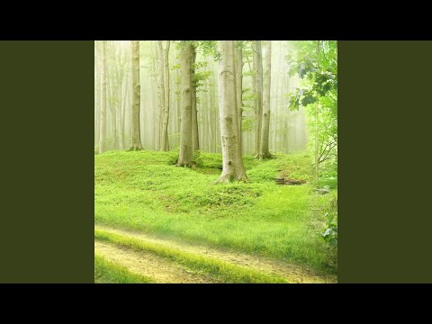 Music 欢子 - 得到你的人却得不到你的心 [ De Dao Ni De Ren Que De Bu Dao Ni De Xin ] - DJ Remix By GarenaQQ