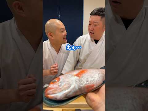 大将に高級魚を渡してみた 【TikTokバズり中】 #鮨屋のまさる #日ノ出茶屋