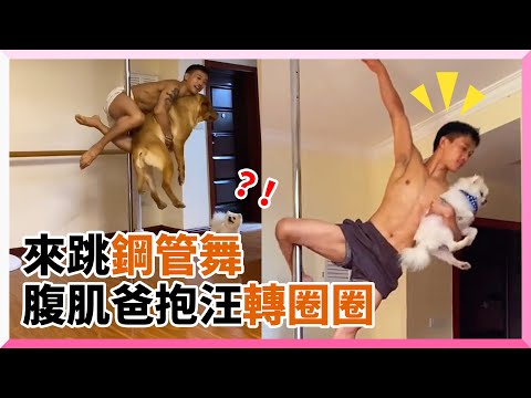 腹肌男抱2愛犬跳鋼管舞 狗狗汪生無戀淡定轉圈｜寵物動物｜狗狗｜跳舞