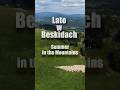 Lato w Beskidach ☀️🐑 / Summer in the Mountains
