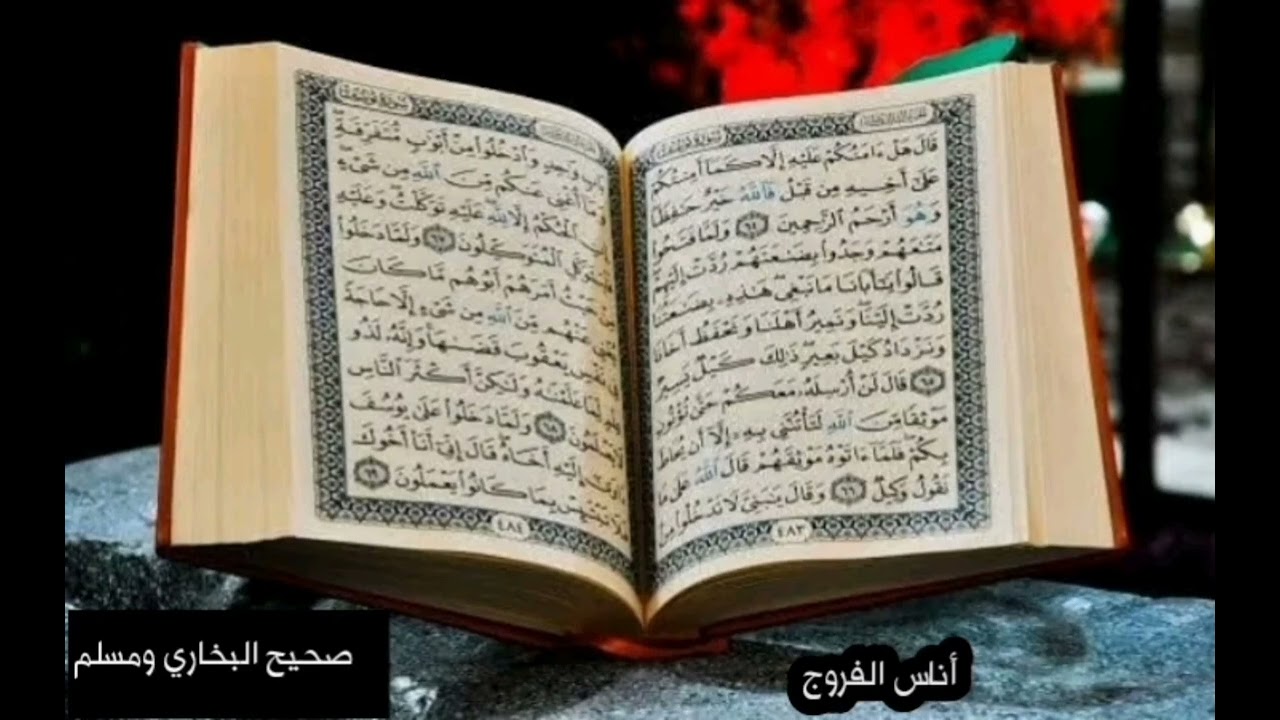 سورة البقرة كاملة للقارئ عبد الحميد القريو  002