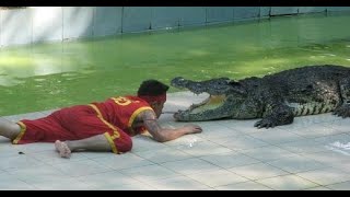 шоу Крокодилов на обзорной экскурсии Пхукет в 2019г.