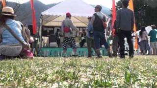 Salt live 20110415