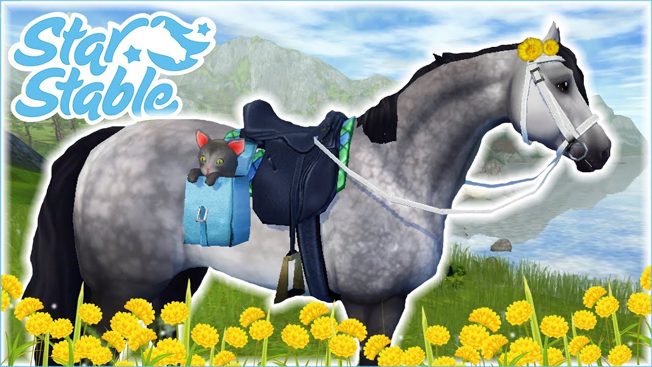 A New Curious Connemara Companion!! • Star Stable Online Connemara