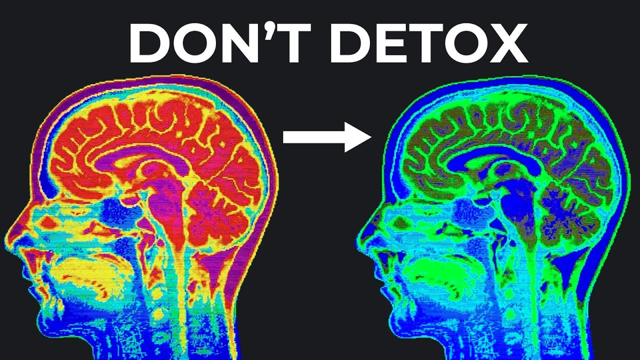 Before You ‘Dopamine Detox’, Watch This (under 5 minutes) - YouTube