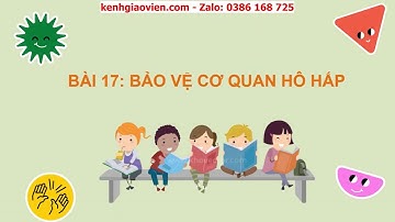 Giáo án powerpoint bài 17: Bảo vệ cơ quan hô hấp | GA Tự nhiên và Xã hội 2 Cánh diều