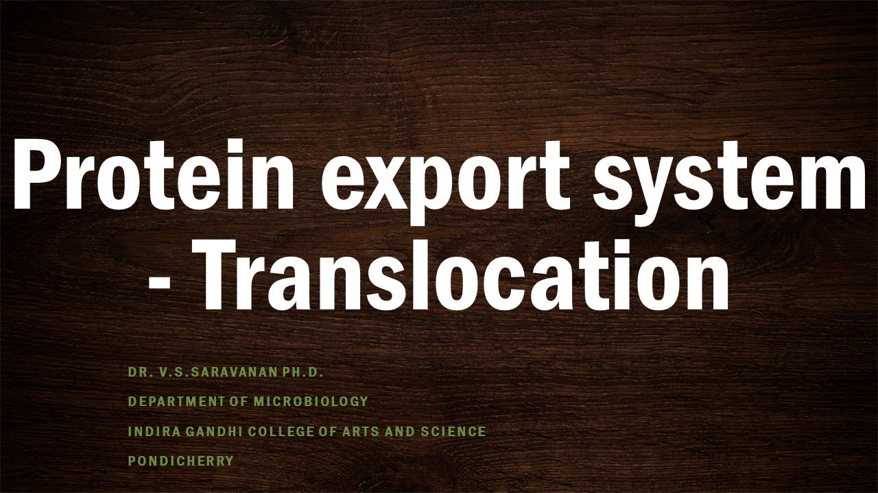 BPM Unit 2 Lect 5A (Protein export systems - translocation)