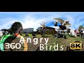 360 Video VR | Pigeons in the yard - 8k