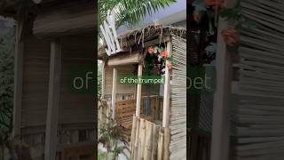 Ps 150 in 2026 we are going to praise God no matter what is happening around us, to us or in us 🙏🏾