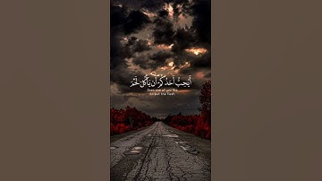 اجتنبوا بعض الظن 🌿تلاوة من سورة الحجرات 🌿للقارئ احمد خضر 🌿