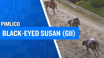 2025 $300,000 Black-Eyed Susan Stakes (G2) at Pimlico